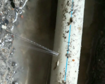 太白卫生间测漏水多少钱