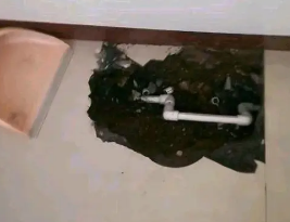 太白卫生间测漏水多少钱